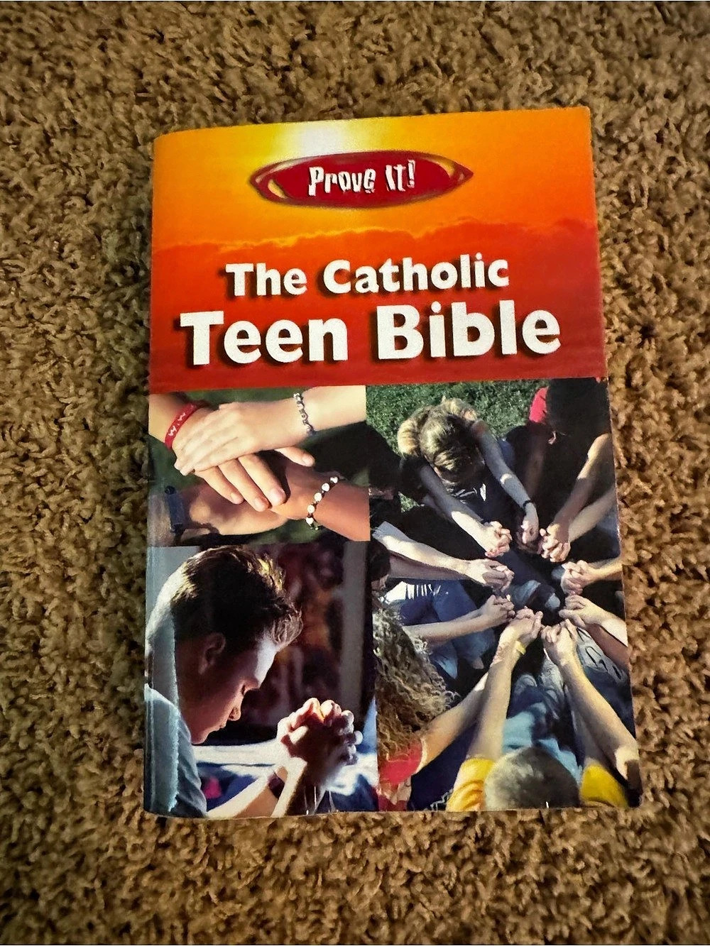 Our Sunday Visitor Prove It! The Catholic Teen Bible